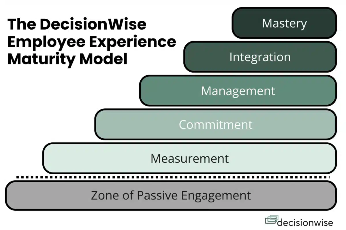 DecisionWise Maturity Model